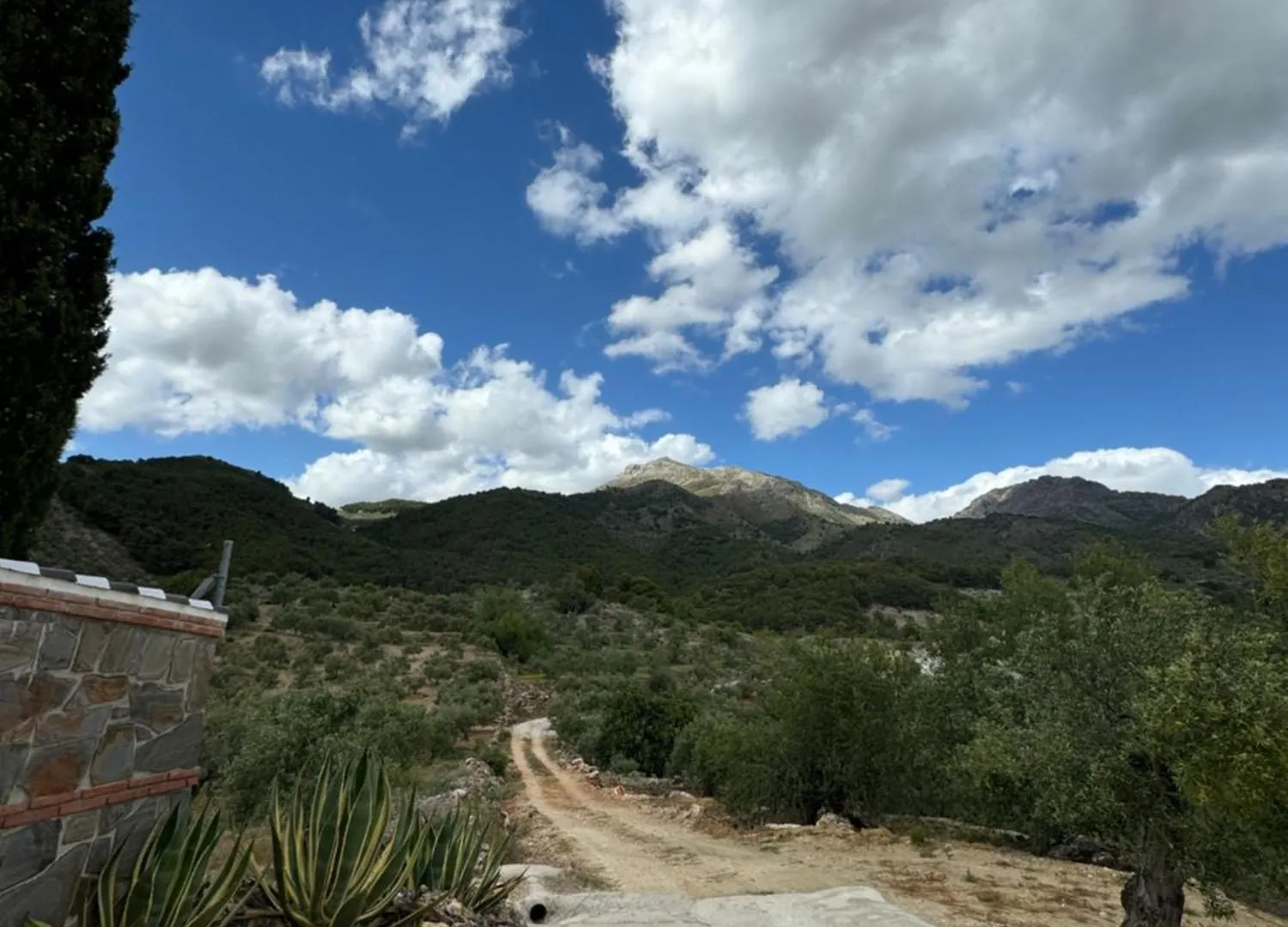 Villa El Pedregal - Parque Sierra De Las Nieves Yunquera