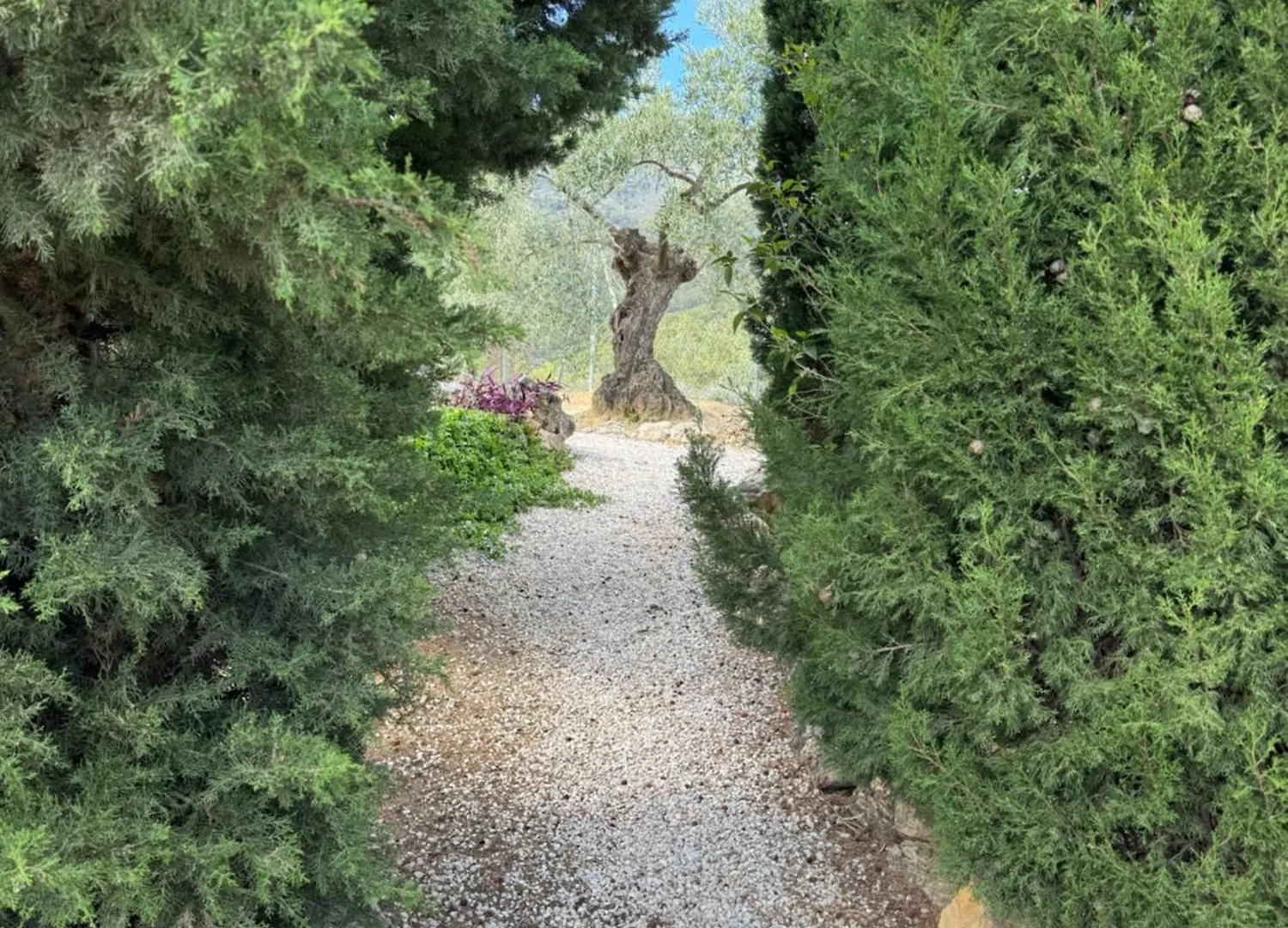 Villa El Pedregal - Parque Sierra De Las Nieves Yunquera Spain
